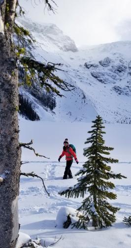 Joffre Lakes