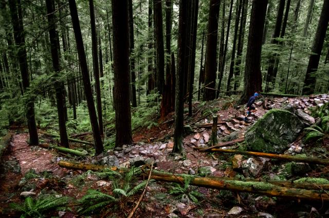 Grouse Grind