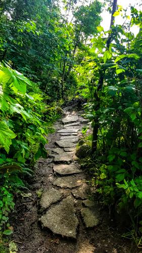 Drummond's Walk