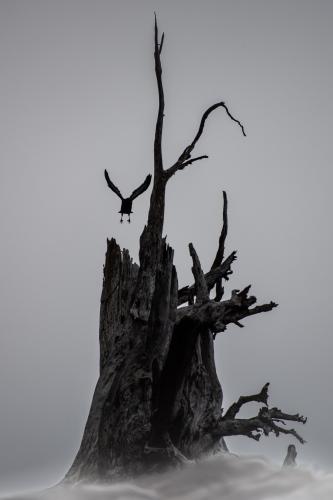 Nitinat Lake Recreation Site