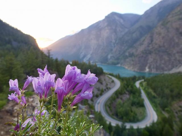 Seton Lake Lookout