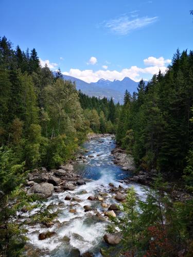 Kaslo River Trail