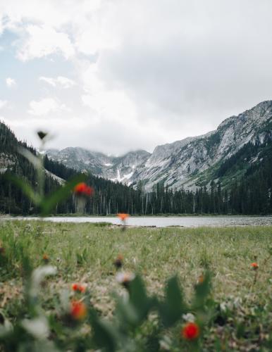 Little Douglas Lake