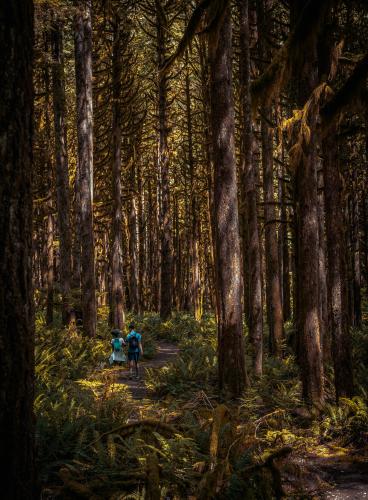 Golden Ears Canyon Loop