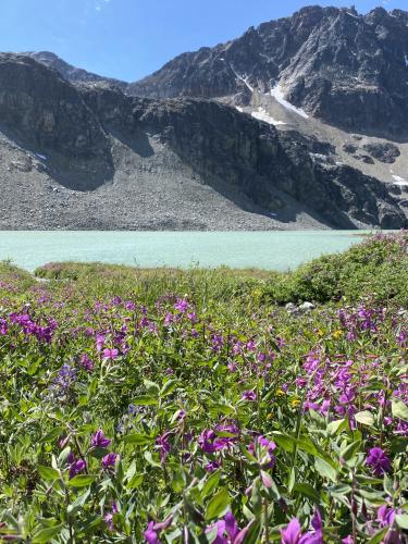 Wedgemount Lake