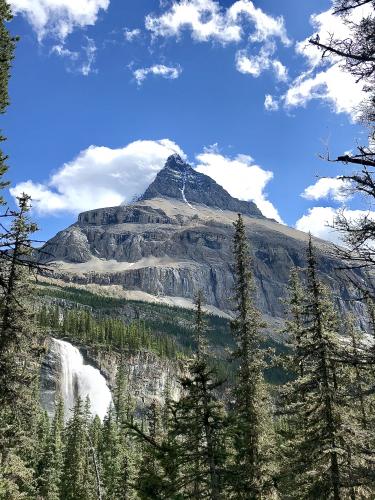 Berg Lake Trail