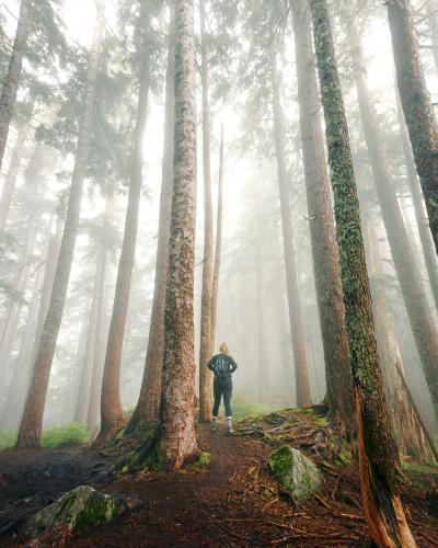 St. Mark's Summit