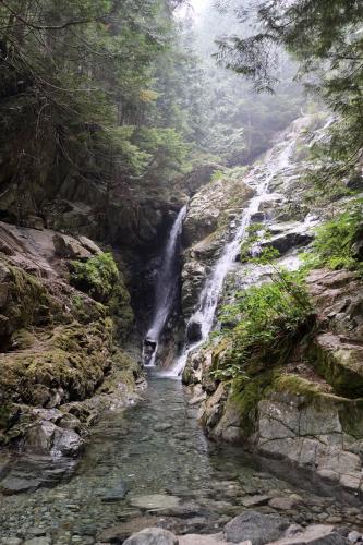 Big Cedar And Kennedy Falls