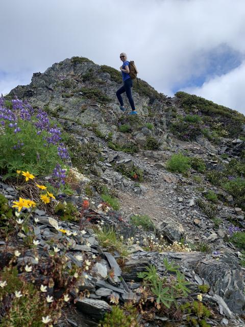 Brunswick Mt Trail