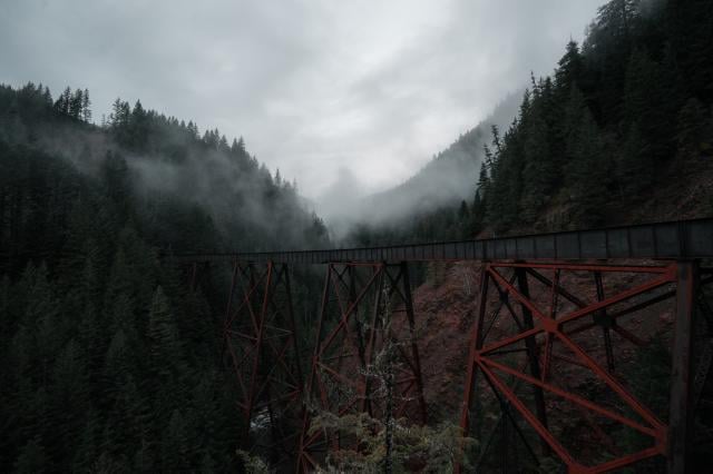 Ladner Creek Trustle