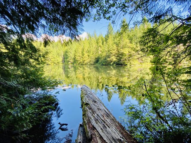 Four Lakes Trail