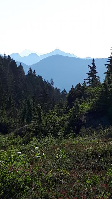 Mt Seymour