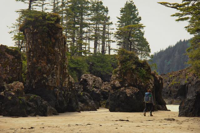 Cape Scott Trail