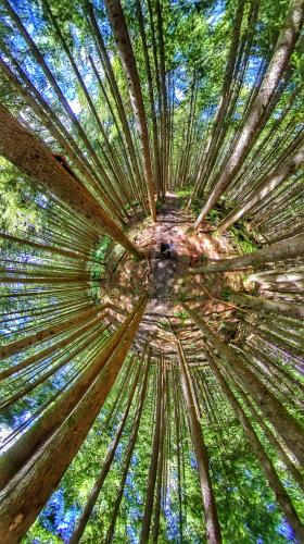 Norvan Falls Trail