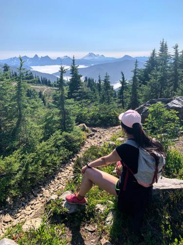 Mount Cheam Trail