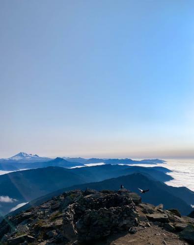 Mount Cheam Trail