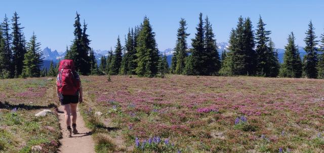 Heather Trail