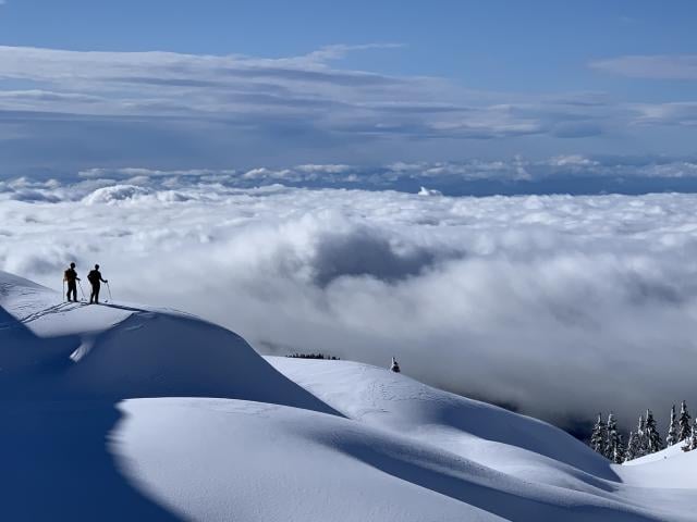 Mount Seymour Trail