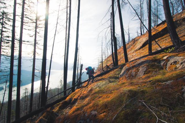 Harrison Lookout Trail