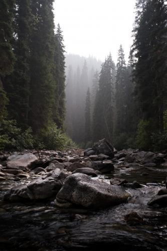 Tulameen Falls Trail