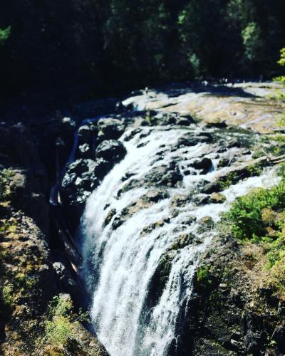 Englishman River Falls Provincial Park