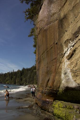 Juan De Fuca Trail