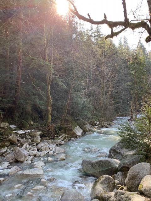 Shannon Falls Trail