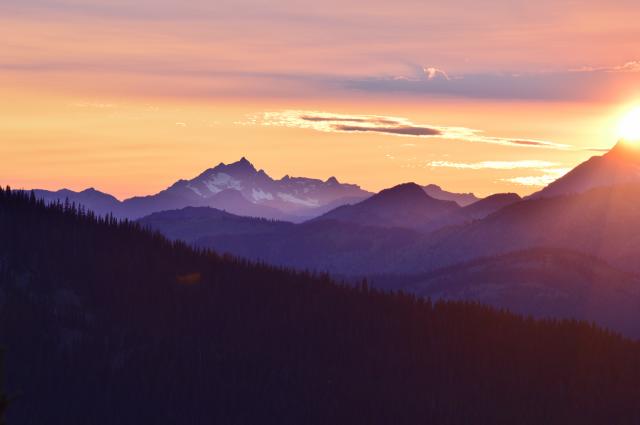 Heather Trail