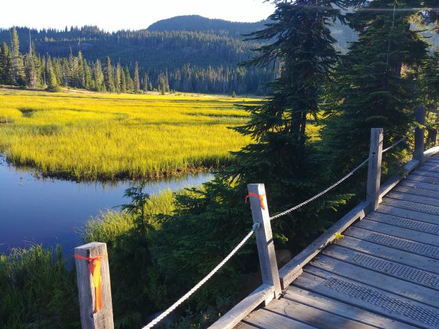 Alpine Meadows