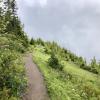 Elk Mountain Trail