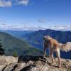 Evans Peak Trail