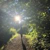 Pepin Brook Trail