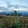 Elfin Lakes