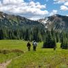 Heather Trail