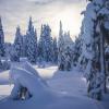 Elfin Lakes Trail