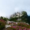 The Lions Binkert Trail