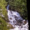 Bridal Falls Trail