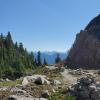 Mount Seymour Trail