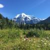 Berg lake trail