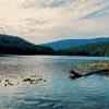 Trail around sasamat lake