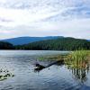 Sasamat lake view