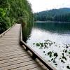 sasamat lake Walking trails