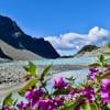 Wedgemount Lake Hike