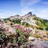 Panorama Ridge Trail