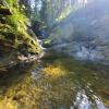 Crystal falls Coquitlam