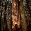 Kennedy Falls/Big Cedar Trail