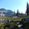 Drinnon Pass/Gwillim Lakes Trail