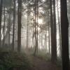 Hayward Lake Reservoir Trail