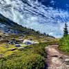 Whistler Blackcomb trail