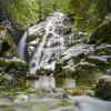 Big Cedar and Kennedy Falls